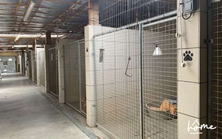 Commerce à LA MARTYRE