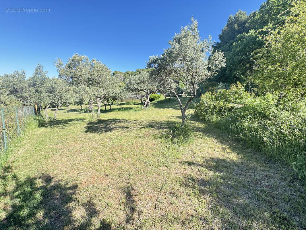 À vendre à Aups   Superbe villa récente avec piscine - photo 7