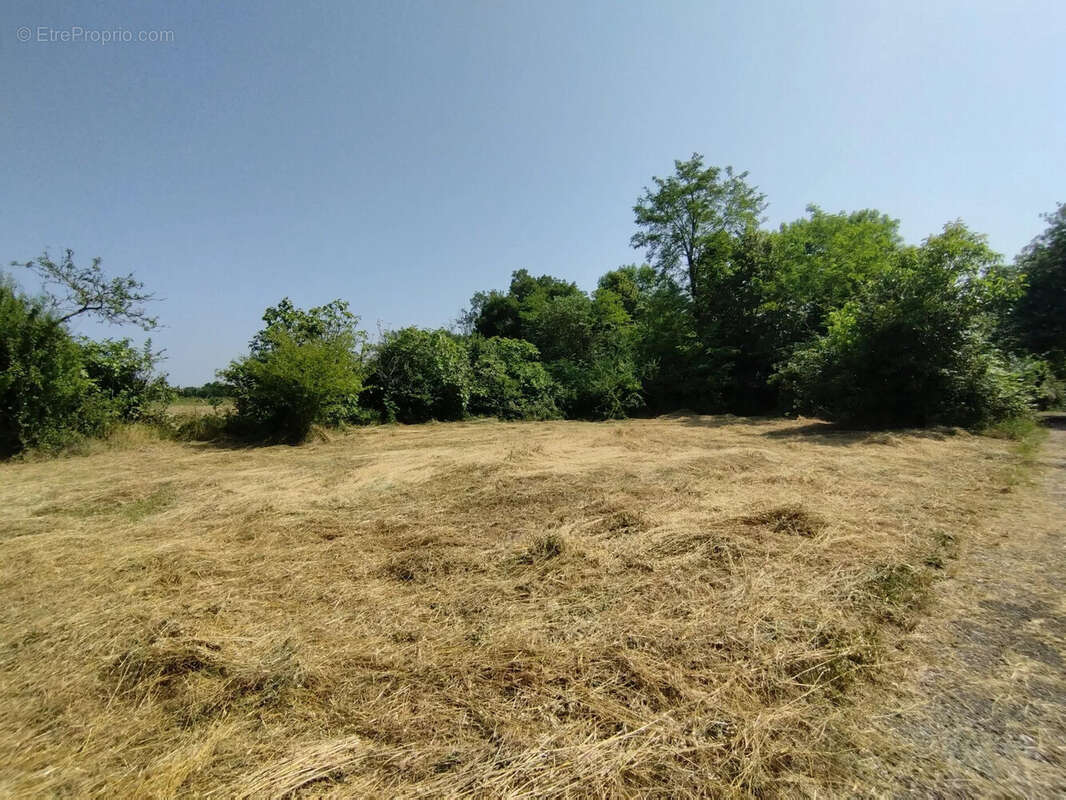 Terrain à CASTELNAU-MONTRATIER