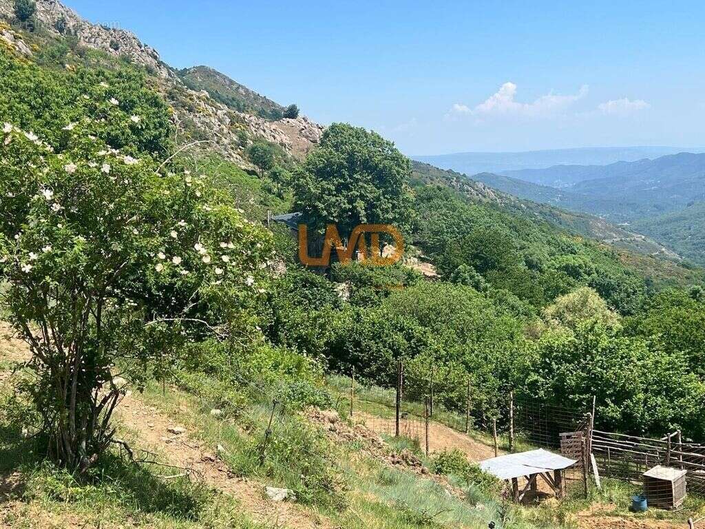 Propriété 54 hectares, rare en Ardèche - photo 20