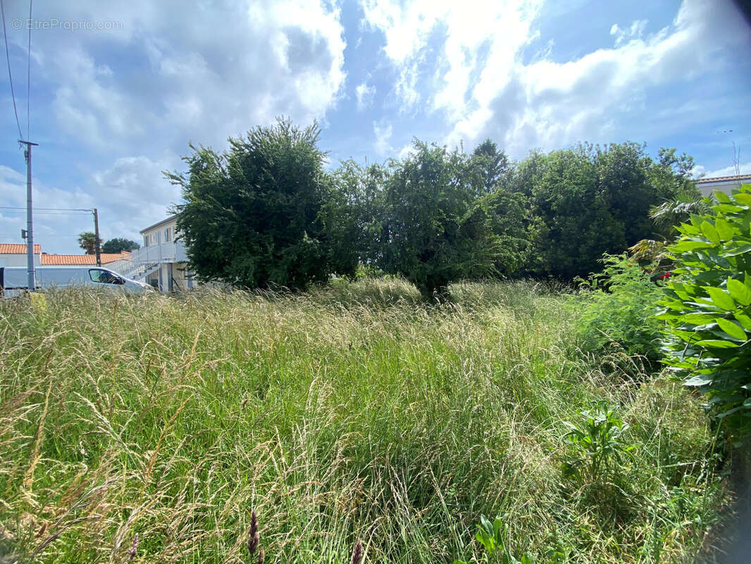 Maison à SAINT-GEORGES-DE-DIDONNE