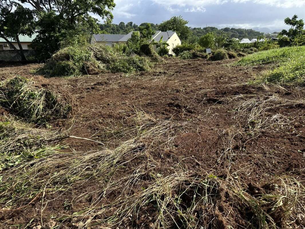 Terrain à PETIT-BOURG
