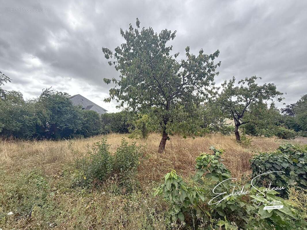 Photo 2 - Terrain à LE LION-D'ANGERS