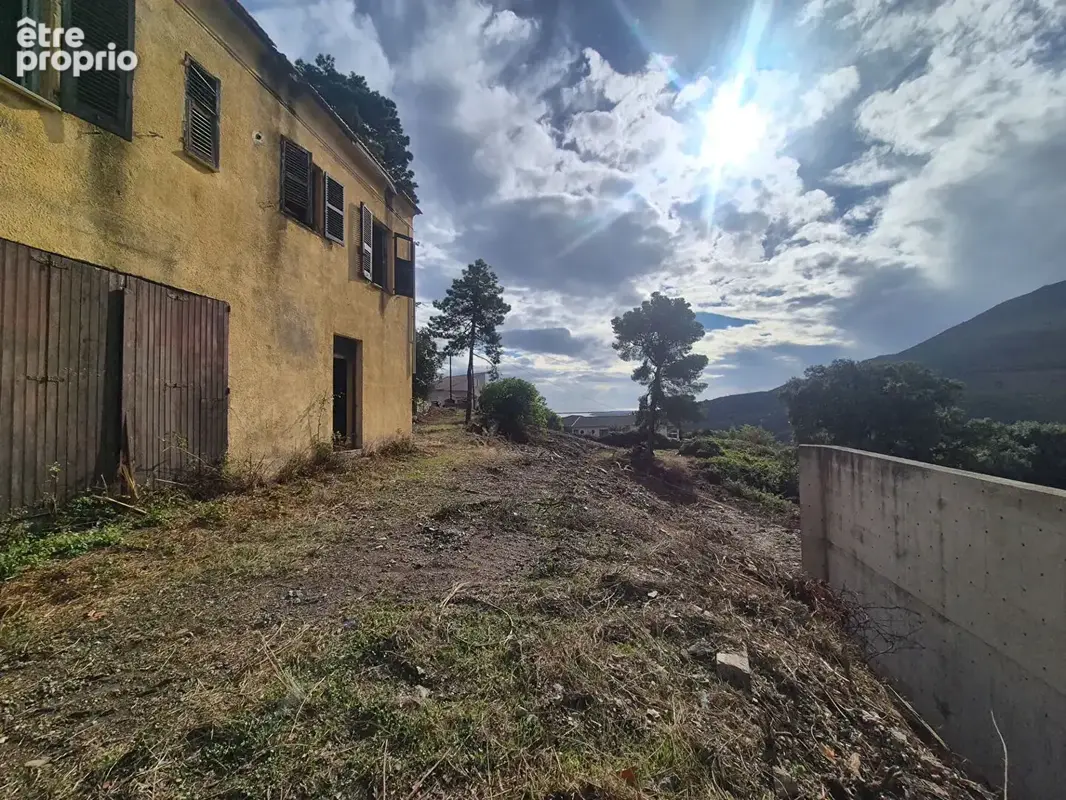 Maison 160m² à olmeta-di-tuda - photo 6