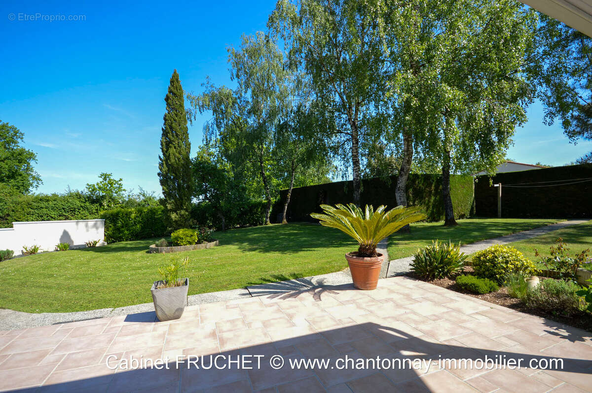 Maison à CHANTONNAY