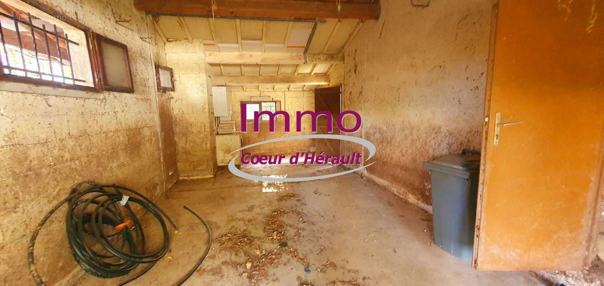 Maison à SAINT-ANDRE-DE-SANGONIS