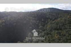 Terrain à MONTAURIOL