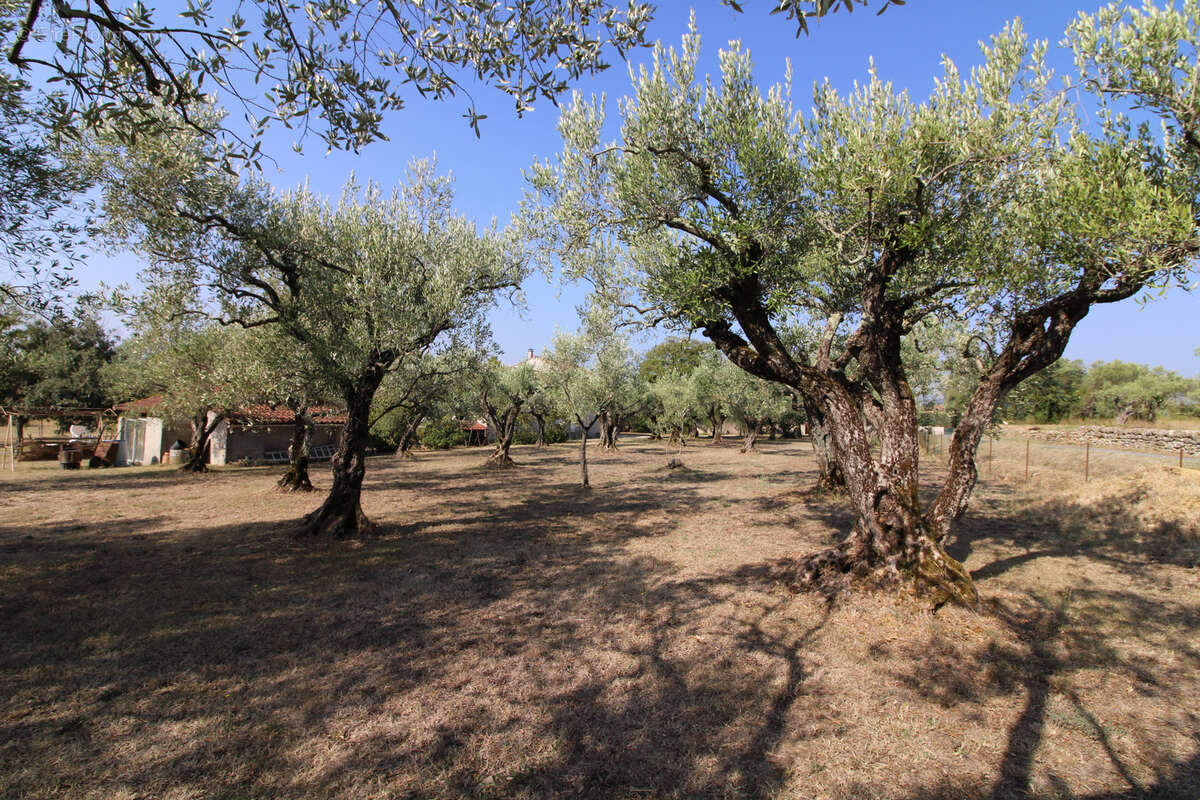 Maison à SAINT-JULIEN-DE-CASSAGNAS