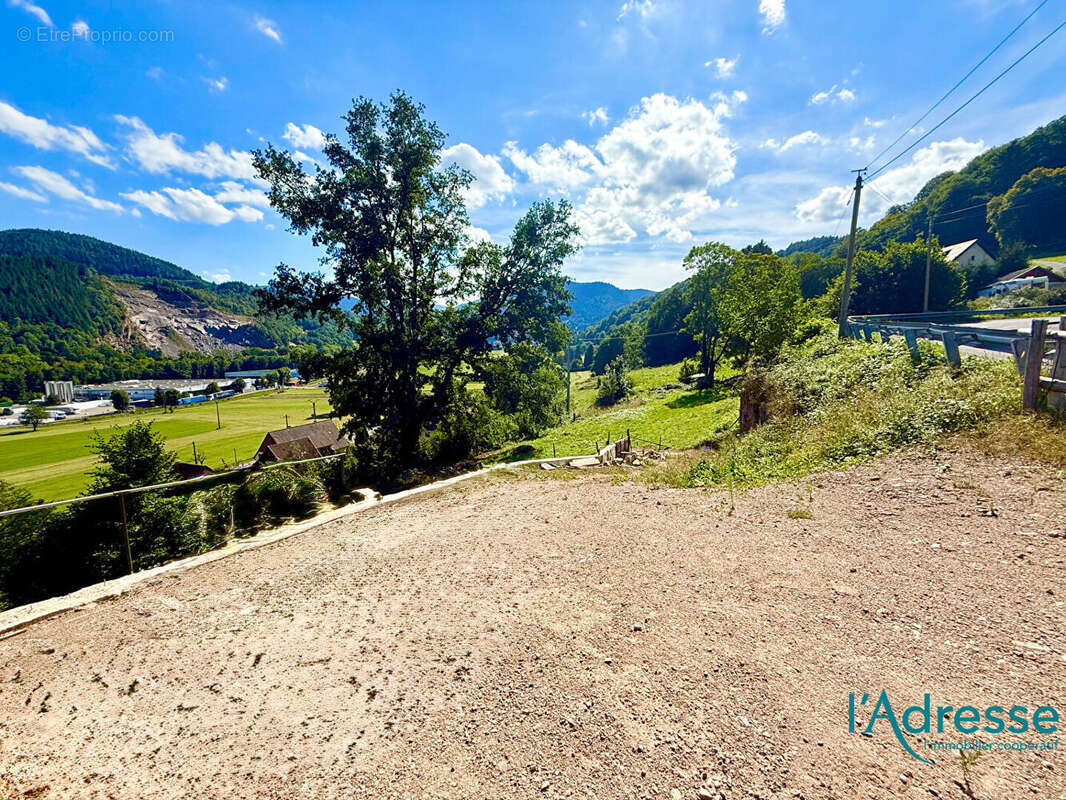 Terrain à MUHLBACH-SUR-MUNSTER
