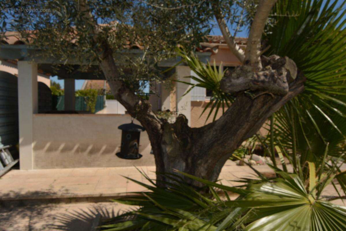 Maison à SAINT-JUST