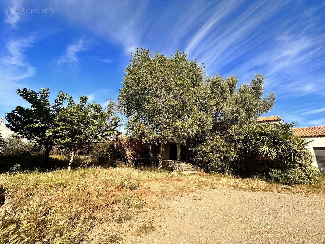 Maison à FRONTIGNAN