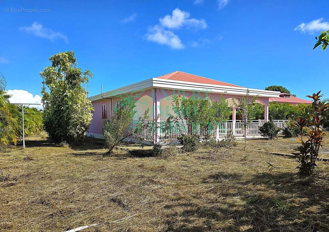 Maison à CAPESTERRE-DE-MARIE-GALANTE