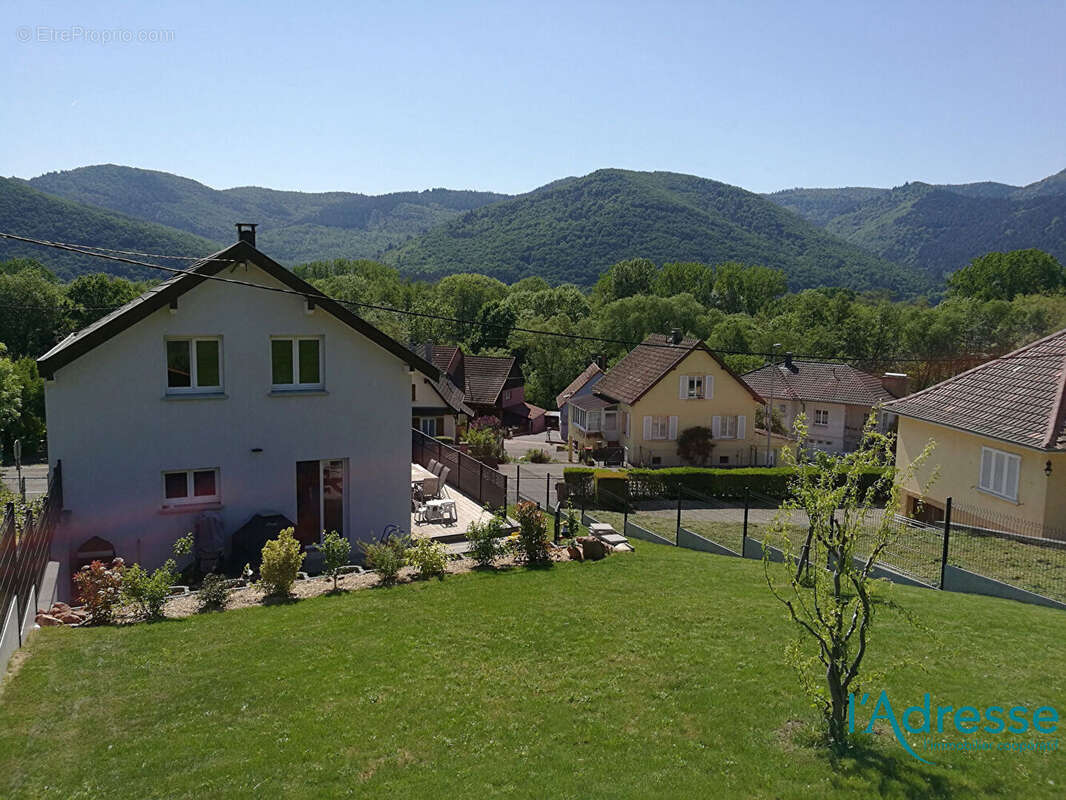 Maison à ZIMMERBACH