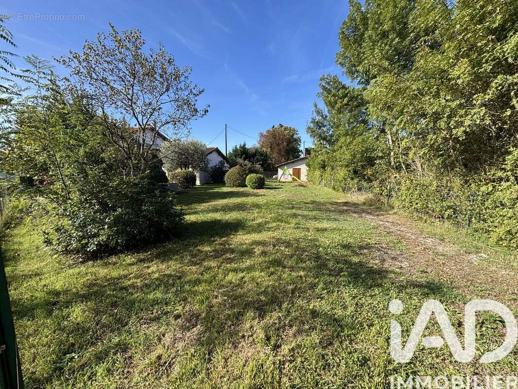 Photo 2 - Terrain à GAILLAC