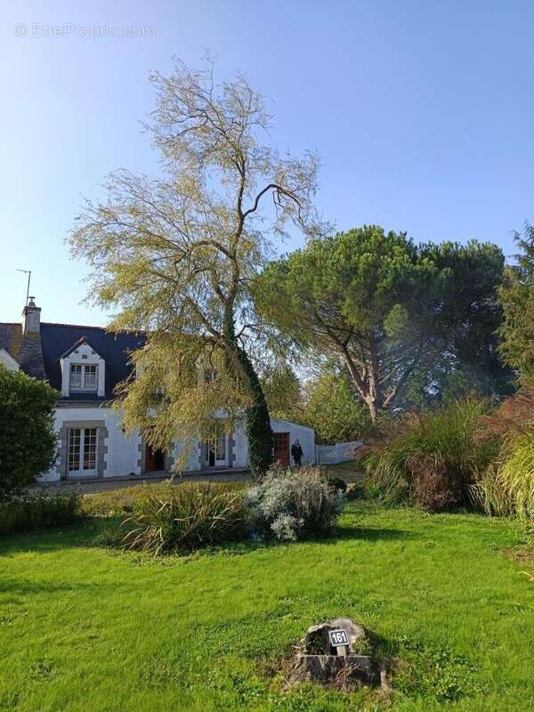 Photo 3 - Maison à PLUMELIAU