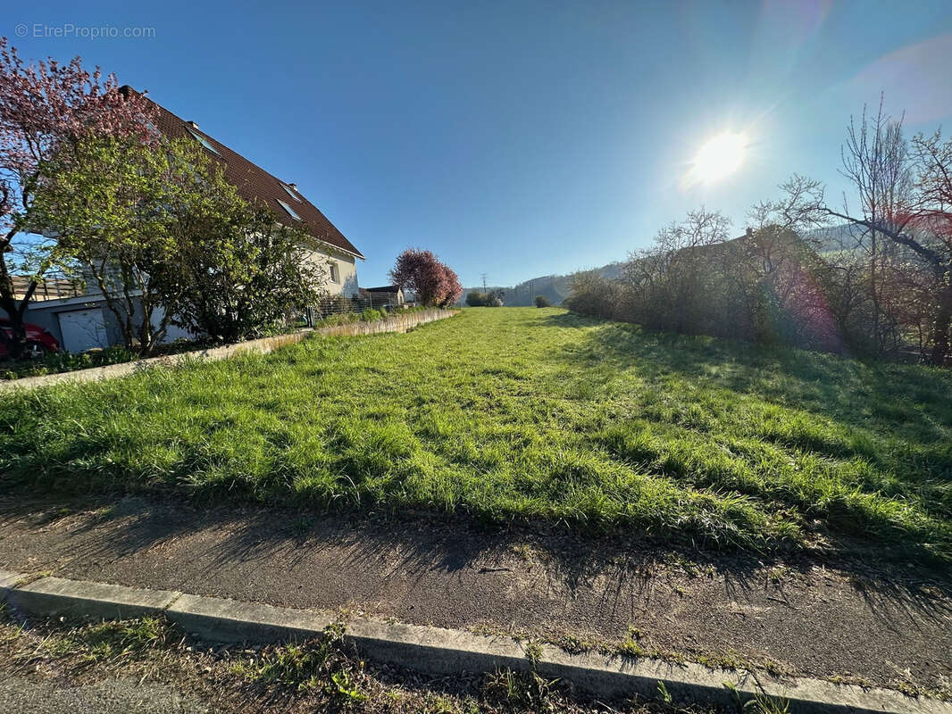 Terrain à WASSELONNE
