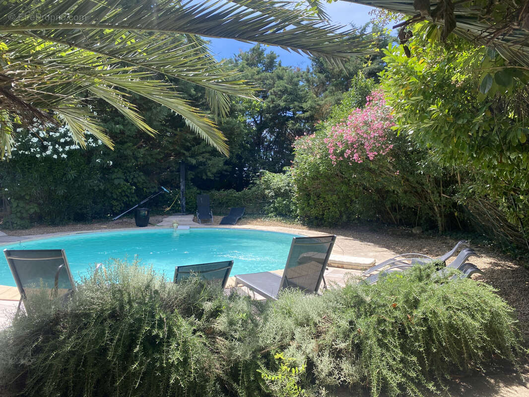 Caderousse, 5mn de l'échangeur A7/A9 d'Orange, 30mn de la gare TGV d'Avignon, Mas avec piscine sur parcelle de - photo 2