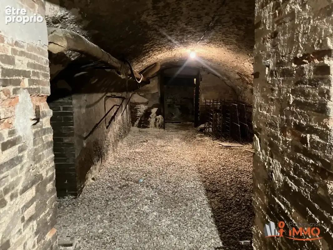 Magnifique château rénové, terrain 9100m2 - photo 30