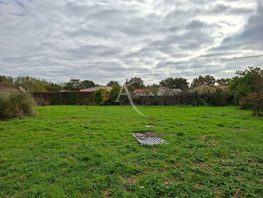 Terrain à SAINT-HILAIRE-DE-CHALEONS