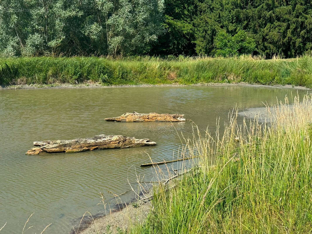 Propriété avec étangs, maison de plain pied au cœur de 3 hectares - photo 19