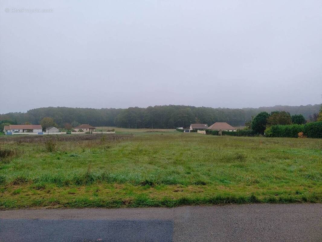 Terrain à SAINT-SEROTIN