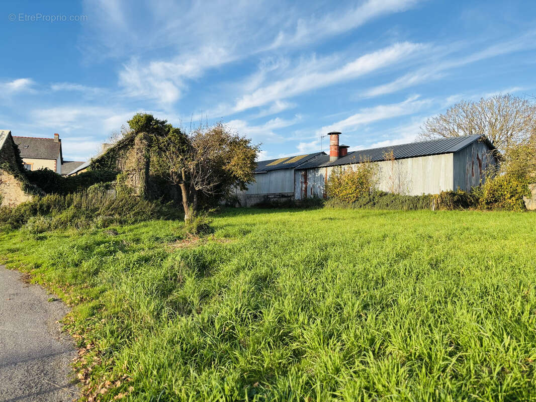Maison à GUEMENE-PENFAO