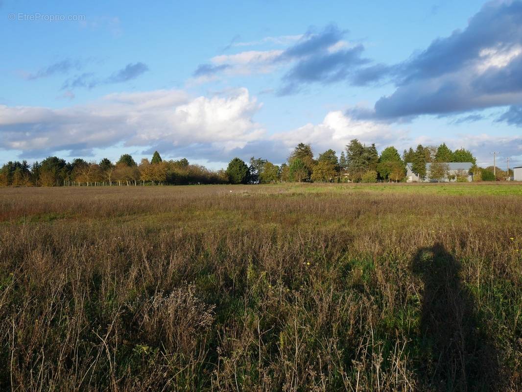 Terrain à GONDREVILLE