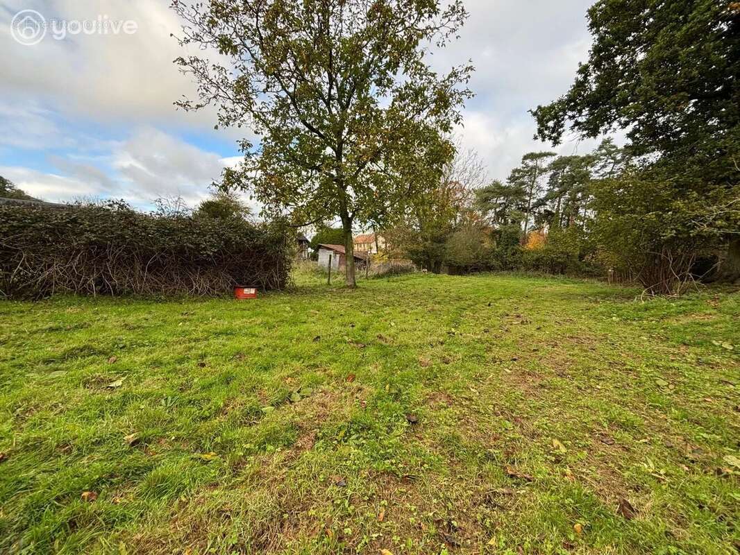 Terrain à INGOUVILLE