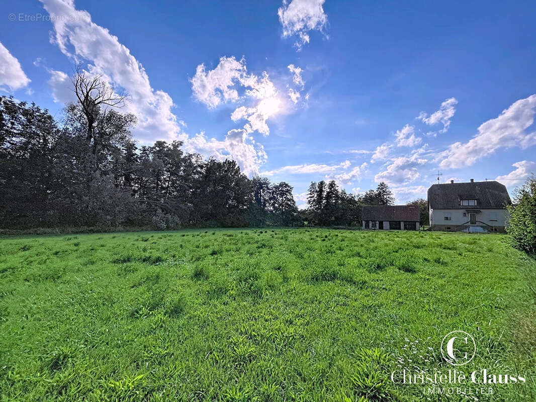 Terrain à PFAFFENHOFFEN