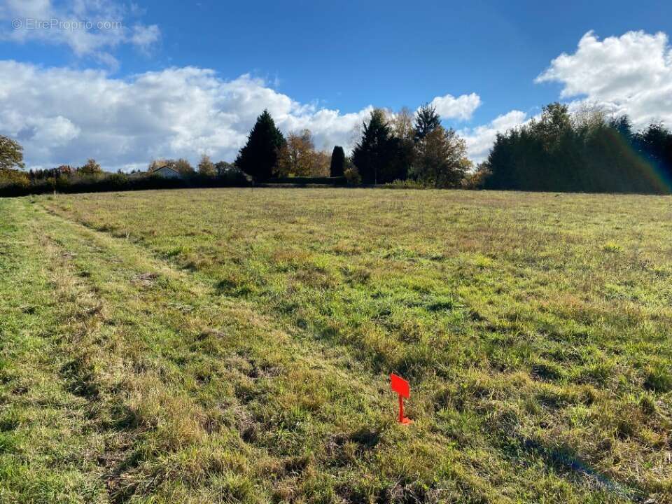 Terrain à ROANNES-SAINT-MARY