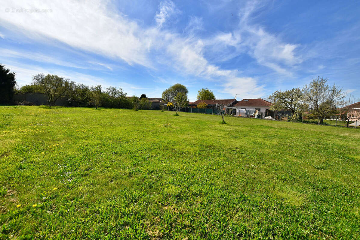Terrain à COMMELLE-VERNAY