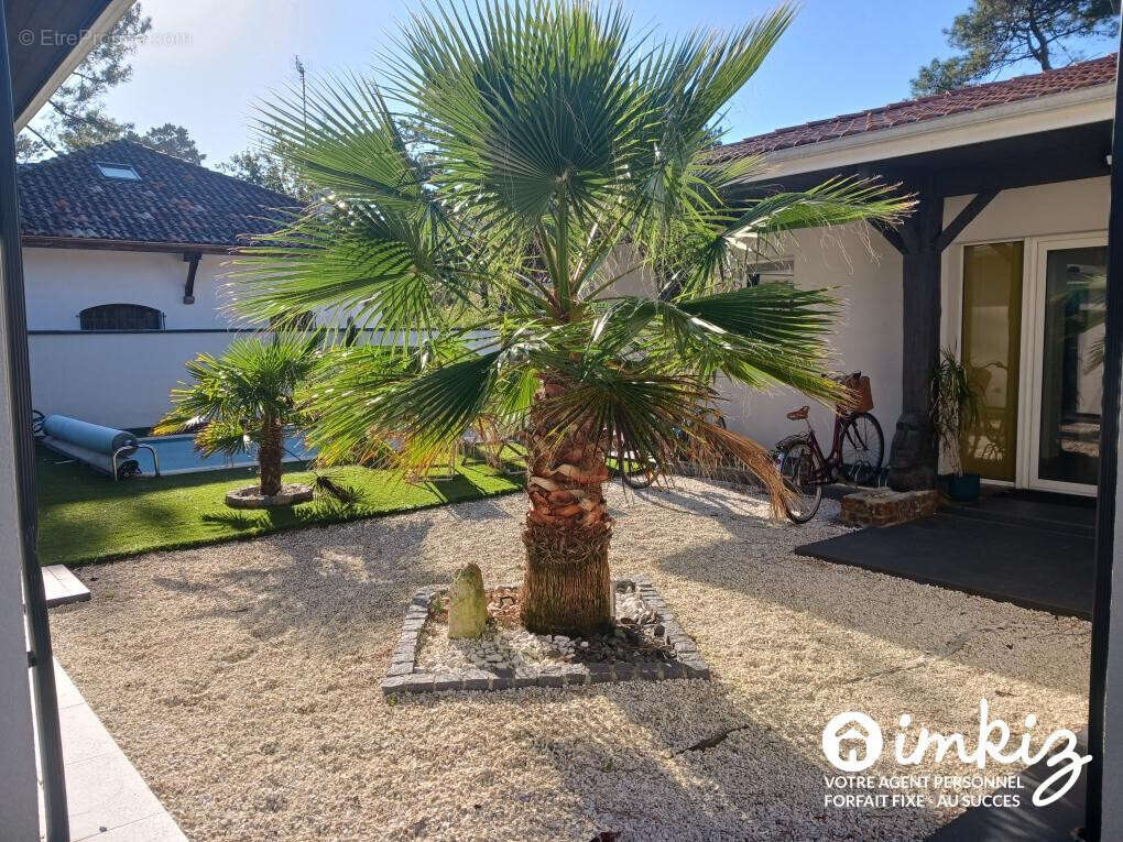 Maison 5 p. piscine, dépendances - plage à pieds - photo 14