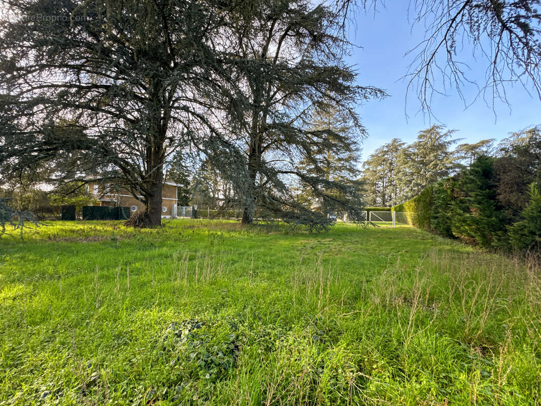 Terrain à SAINT-BERNARD