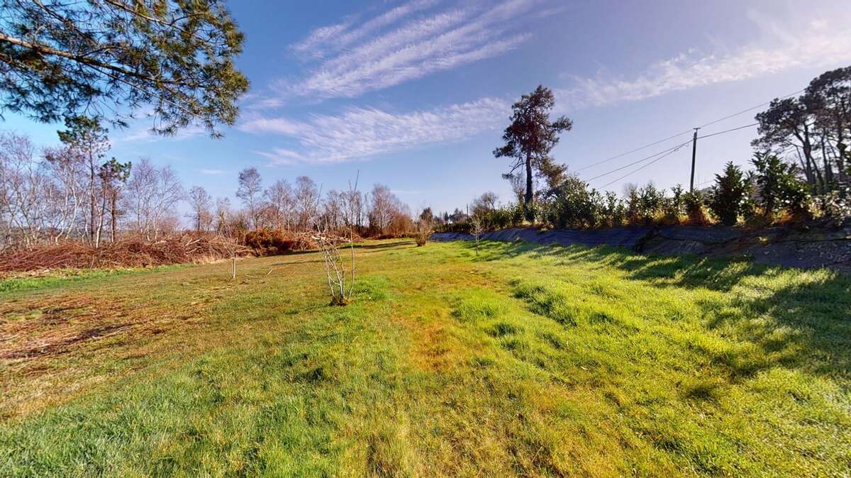 Maison à vendre 15 pièces ARGOL (29) - photo 35