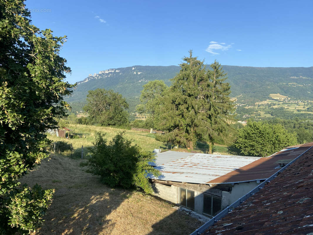 Maison T4 avec dépendances, caves et terrain   Beau potentiel - photo 17