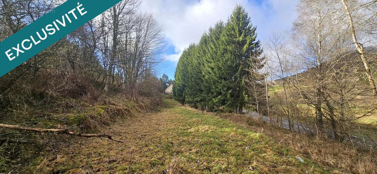 Terrain 1690 m² à Bourg-Bruche  - photo 2