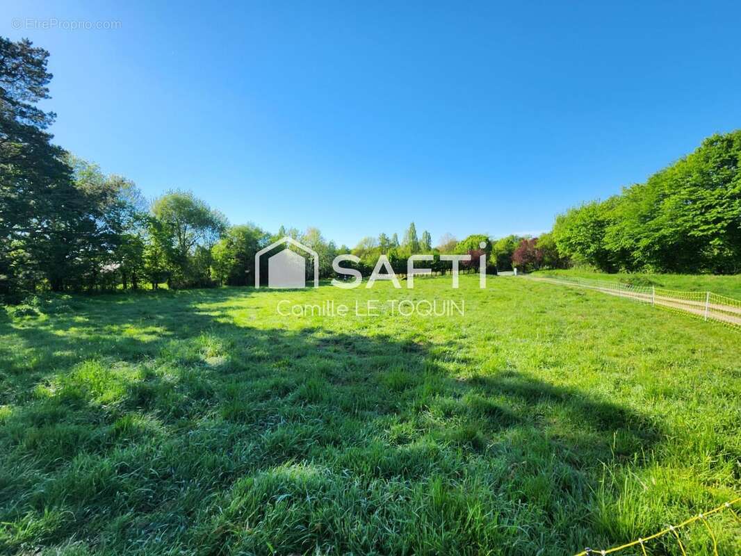 Photo 3 - Terrain à MOZE-SUR-LOUET