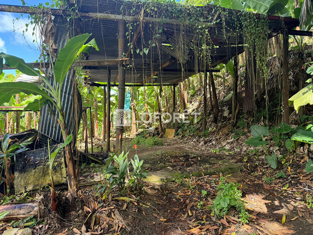 Terrain à LE LORRAIN