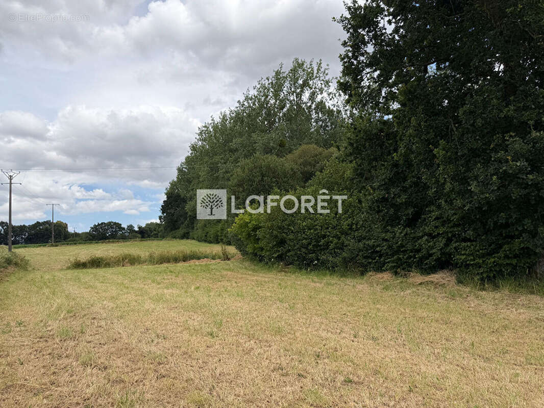 Maison Plouec Du Trieux - 103 m² - photo 15