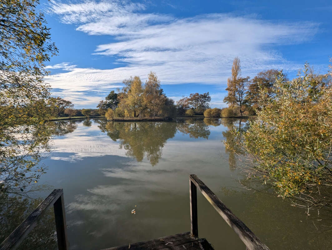 Terrain à LE CHATELET