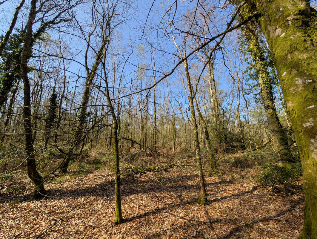 Terrain à CAMPENEAC