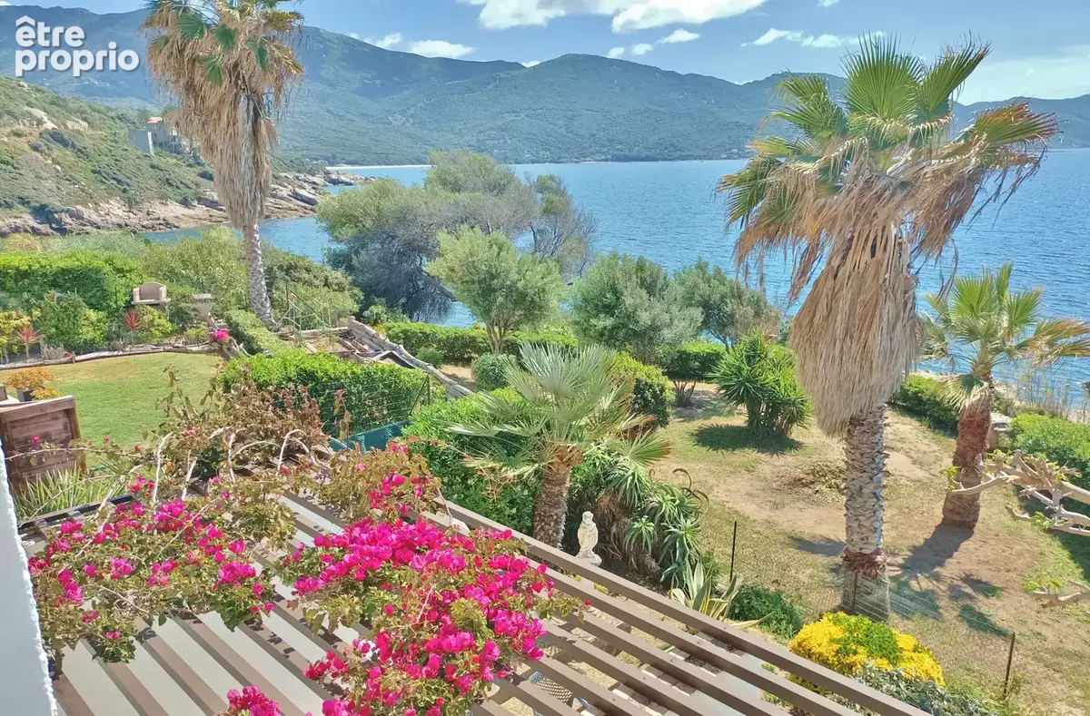 30 minutes d'AJACCIO - Immeuble de 6 appartements pieds dans l'eau - photo 29