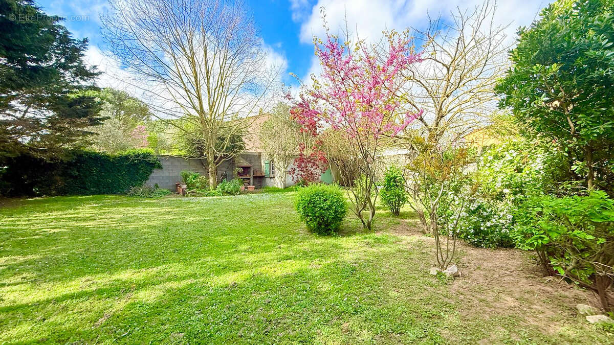 Carcassonne - maison - pp - 3 chambres - terrain 800m2 - photo 3