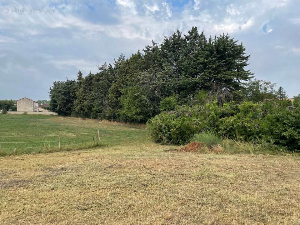 Terrain à MALLEMORT