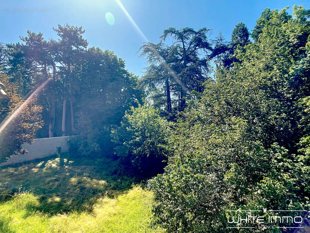 Vente, francheville le bas, propriete ancienne a renover, 247 m2, coeur village - photo 2