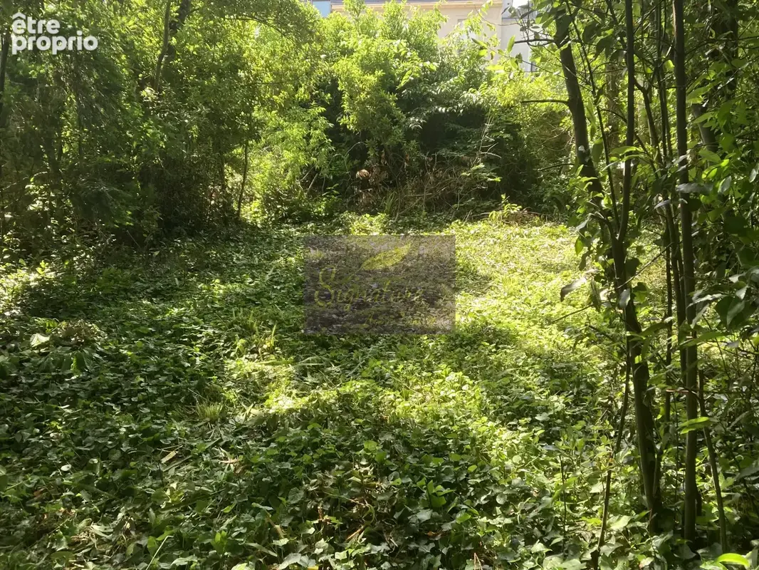 CLE MANS - SAINT PAVIN -  Mancelle de 193 m2. Jardin Secret de 393 m2, un potentiel exceptionnel. - photo 14