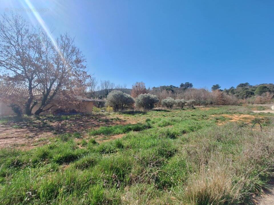Photo Terrain à Montmeyan au prix de 80 000€
