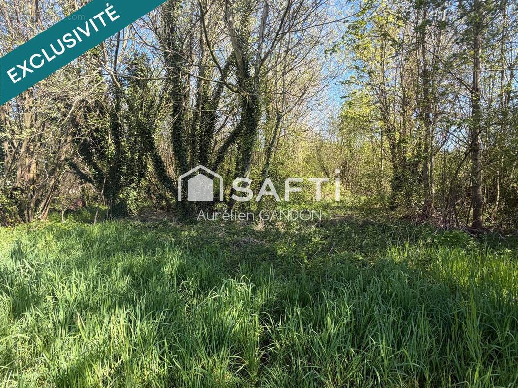 Photo 1 - Terrain à MALAY-LE-GRAND