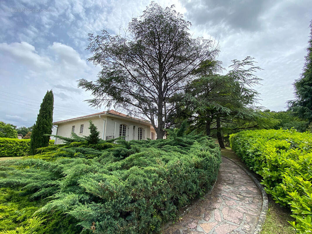 Maison à MURET