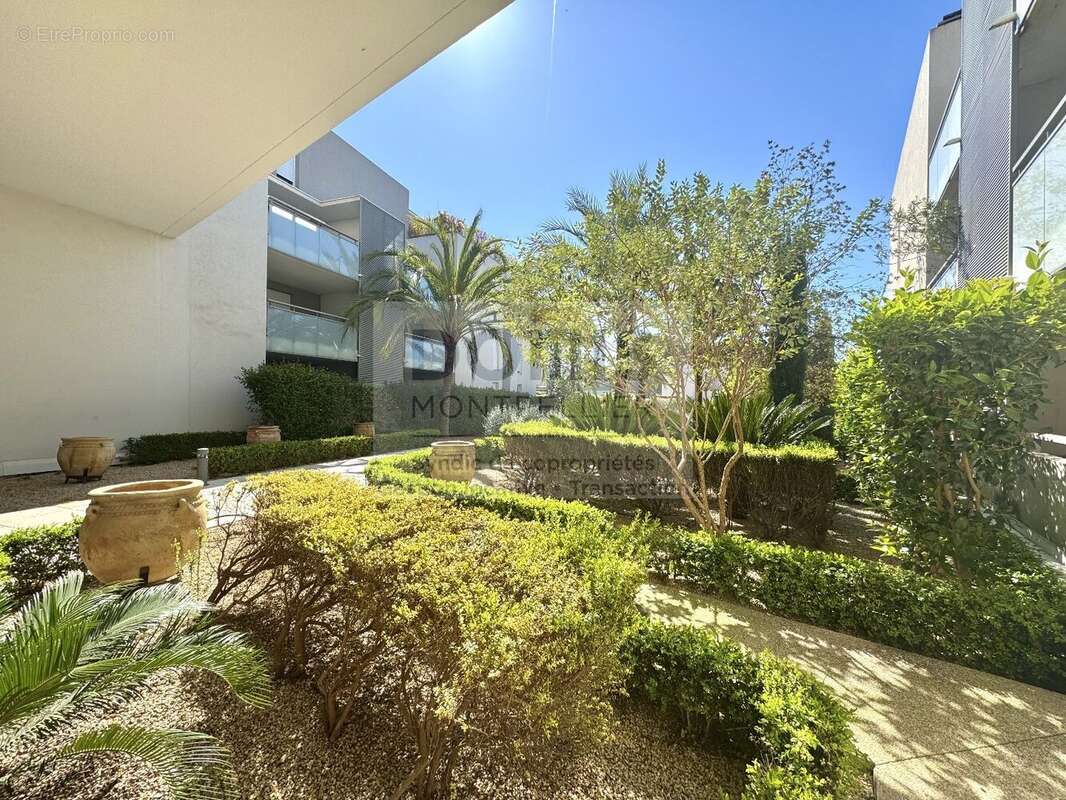 Appartement à LATTES